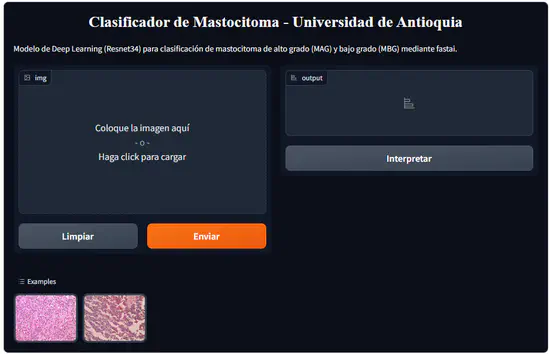 Mastocytoma classifier with artificial vision