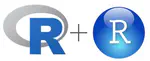 Data science with R: uses in the agricultural sector