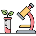 Design and statistical analysis of experiments in Cannabis