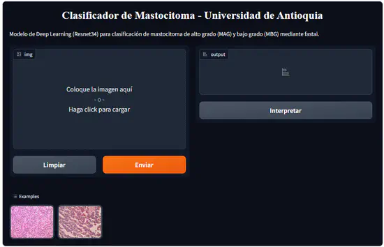 Clasificador de Mastocitoma con visión artificial